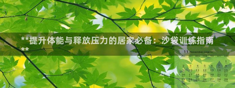 星奥娱乐集团股份有限公司官网