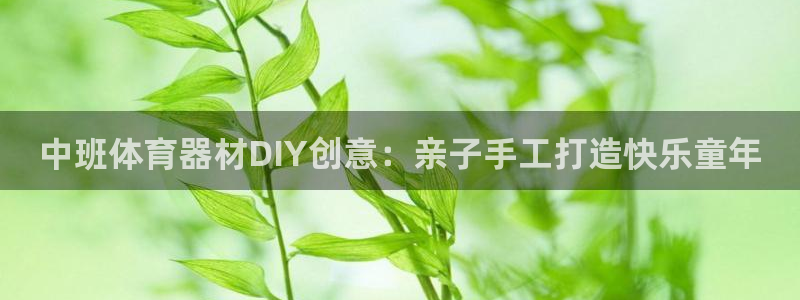 星欧娱乐扣款时间查询方法怎么查：中班体育器材DIY创意：亲子