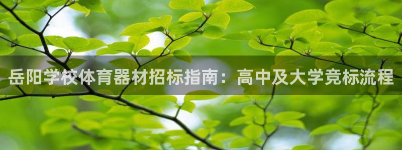 星乐娱乐官网：岳阳学校体育器材招标指南：高中及大学竞标流程